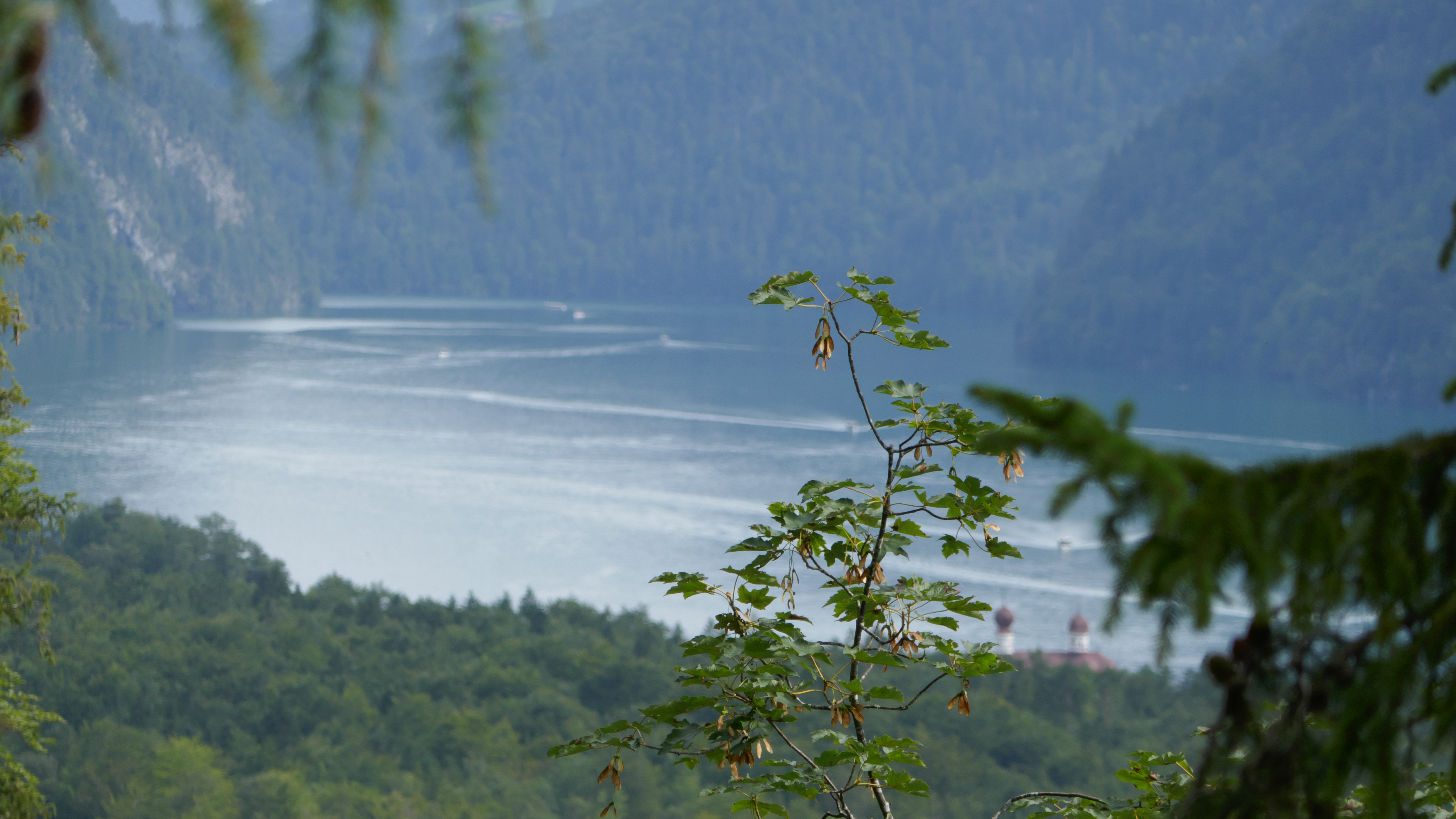 Königssee von Anhöhe